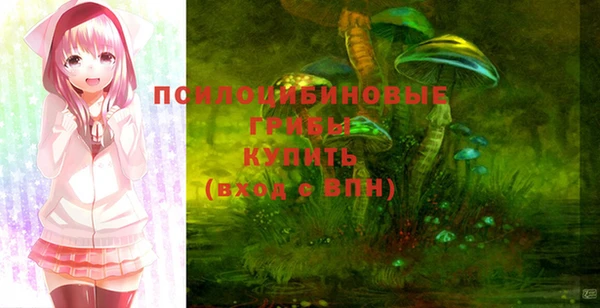 2c-b Абинск