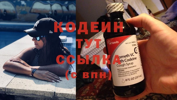 ПСИЛОЦИБИНОВЫЕ ГРИБЫ Абаза