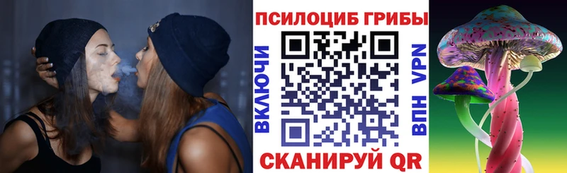где купить наркоту Куртамыш Галлюциногенные грибы Psilocybe